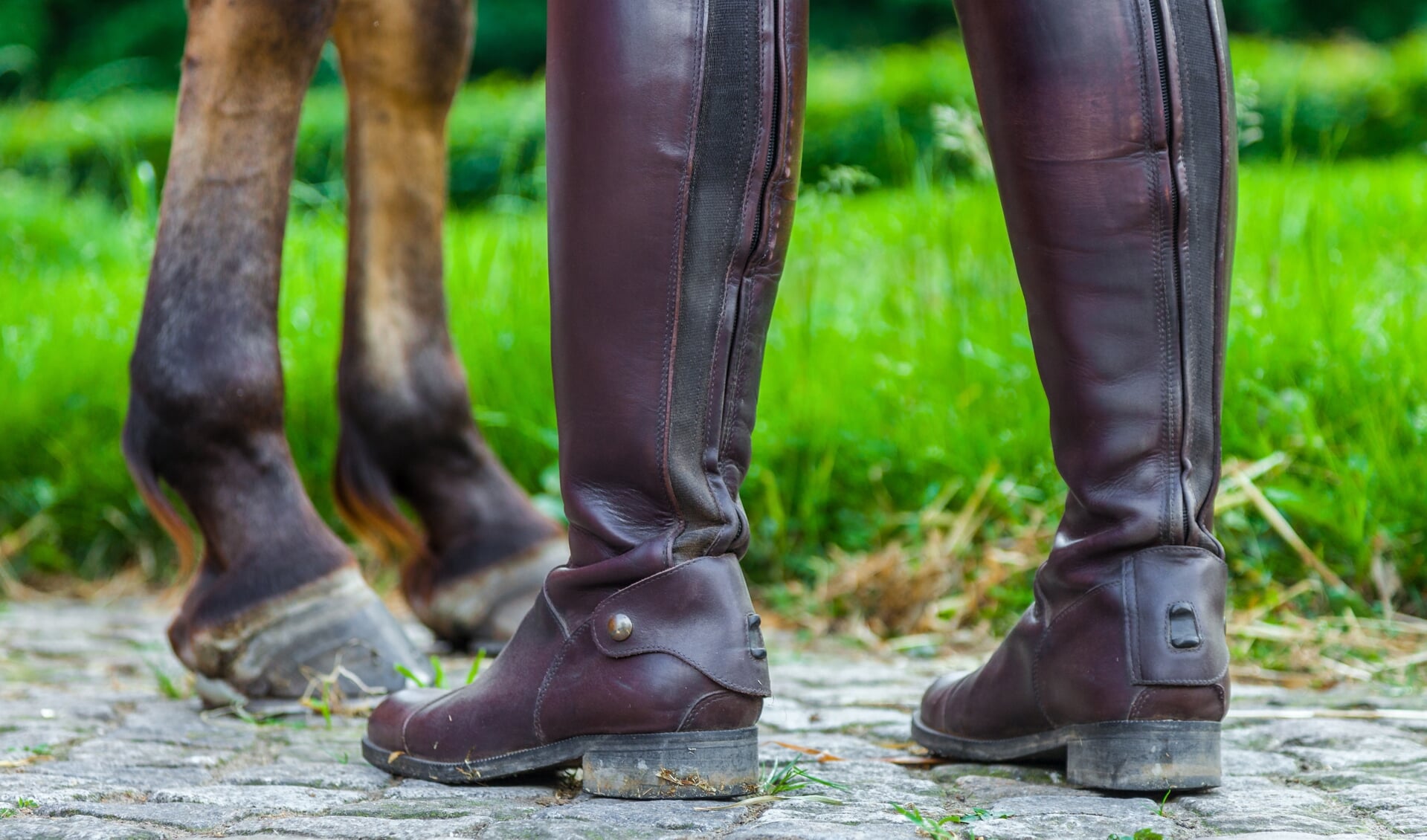 a horsewoman in riding boots near a horse