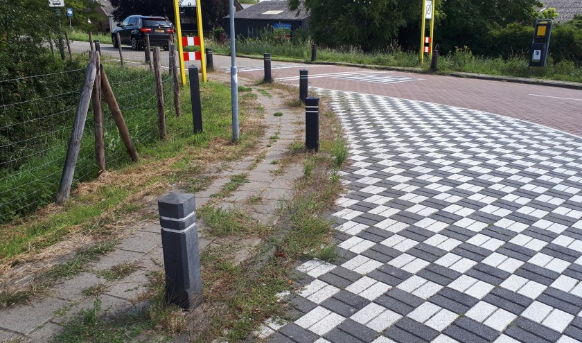 Op veel plekken is hoog onkruid te zien.
