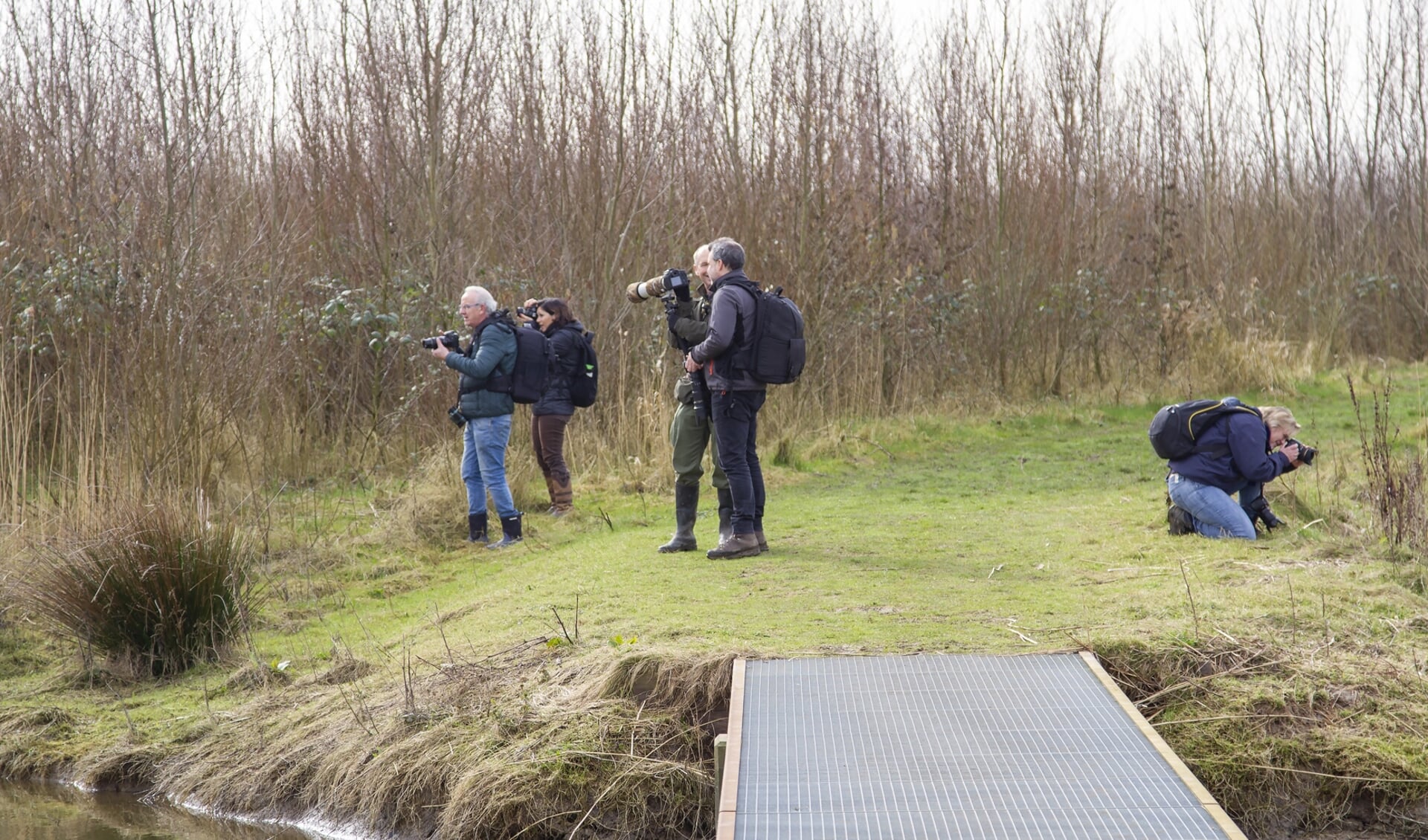 Leden van fotoclub Image Totaal op pad in de Biesbosch.