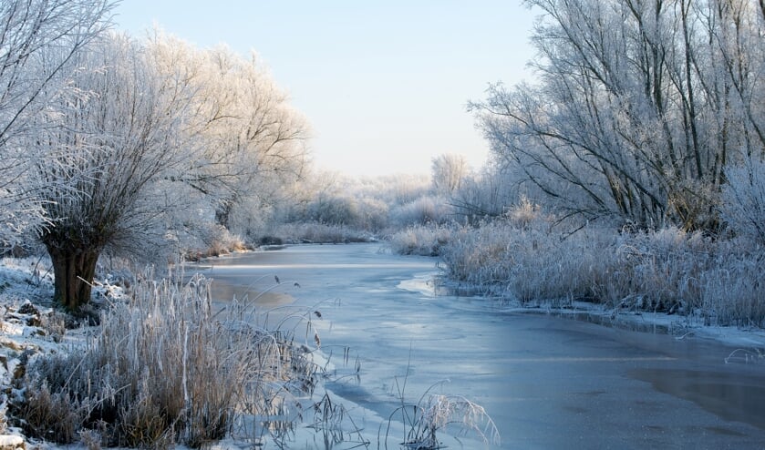 'Winter in De Kleine Bevert' (Biesbosch). Gemaakt door clublid Reinier van de Pol.