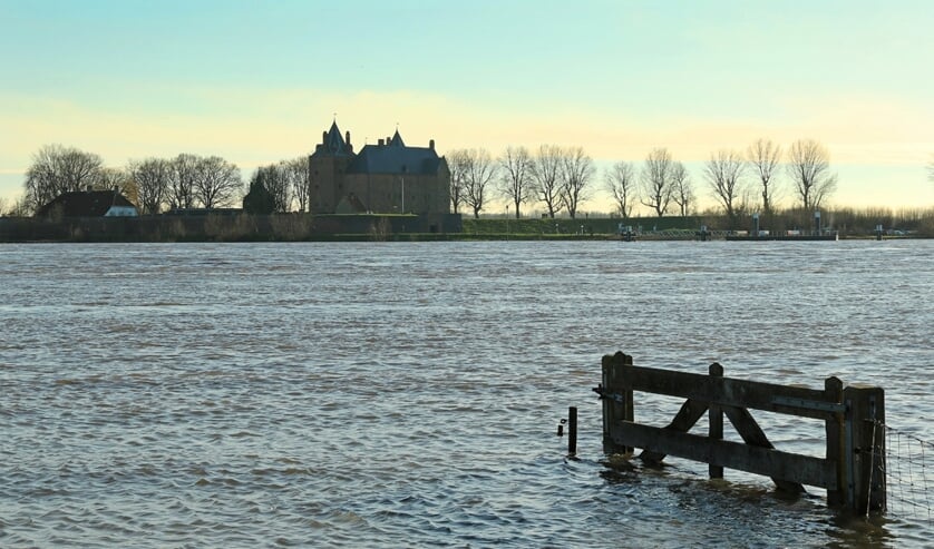 • De winnende foto van het hoogwater nabij Slot Loevestein.
