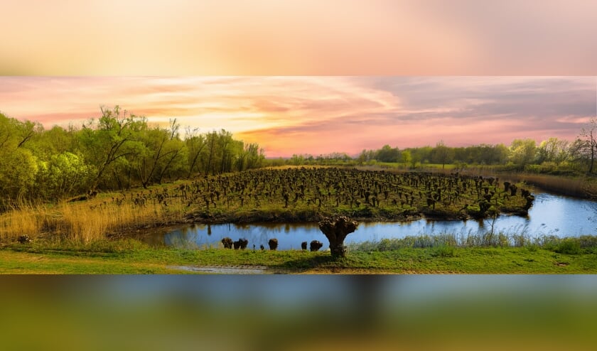 <p>• Een deel van de panoramafoto van Leo Lanser.</p>