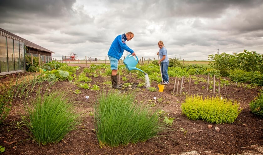 <p>Directeur-bestuurder Paulien van Pelt is trots op 'haar' zorgboeren</p>