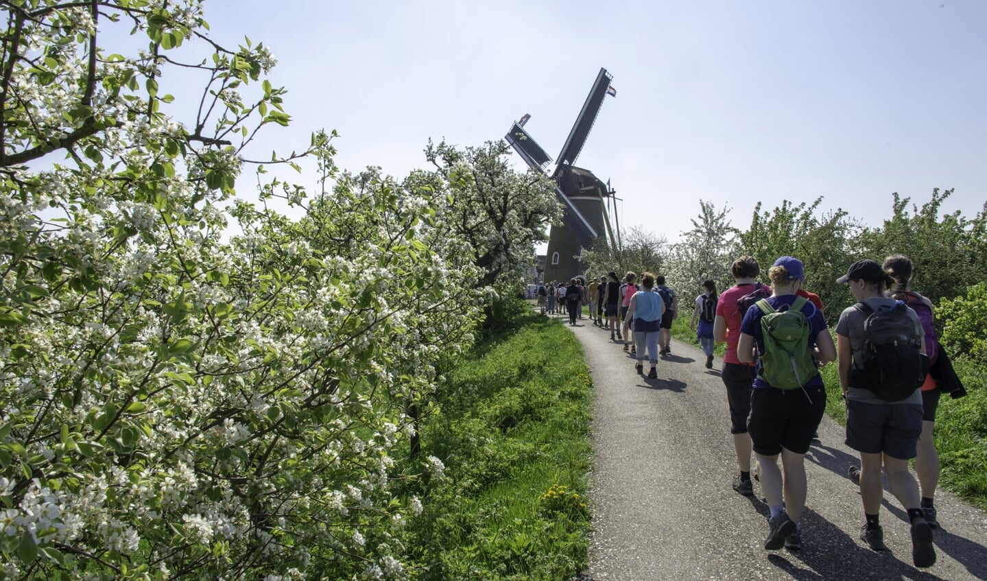 • De Bloesemtocht in het recente verleden.