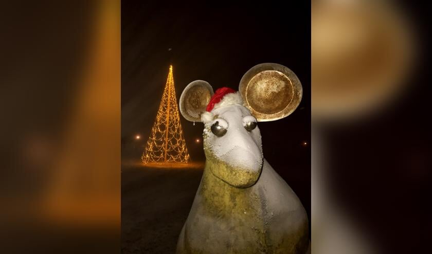• Het Muizenveld in Leerdam kan, evenals vorig jaar, weer worden verlicht.