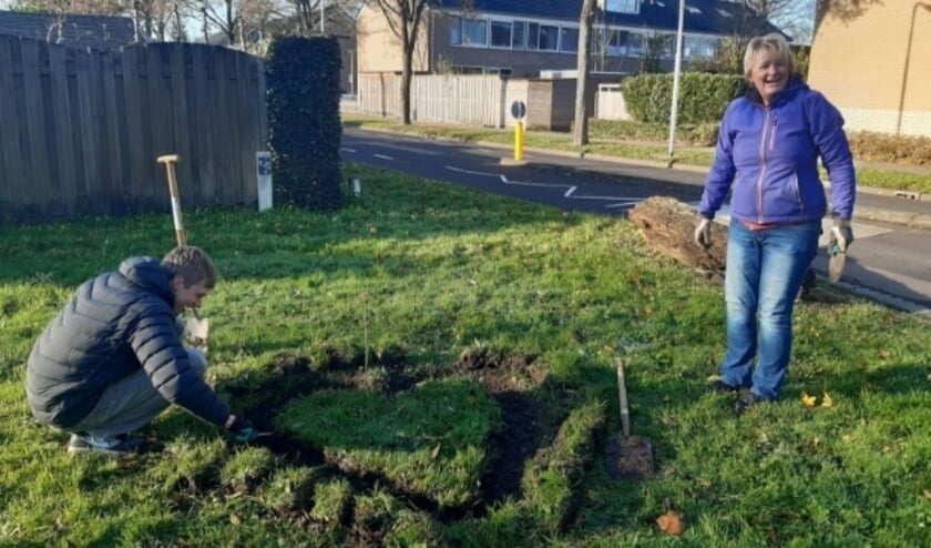 <p>Tip voor wie wil planten: kies biologische bloembollen geteeld zonder gif en te koop bij Intratuin; met een ecomunt zelfs met 20 procent korting tot eind december. (Foto: KNIJ)</p>