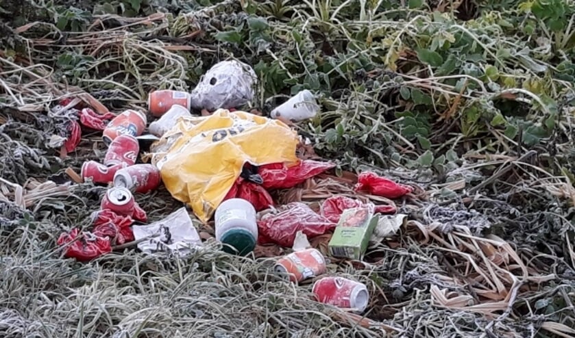 <p>Boodschappentas die gevuld is met restafval en gevulde rode hondenpoepzakjes.</p>