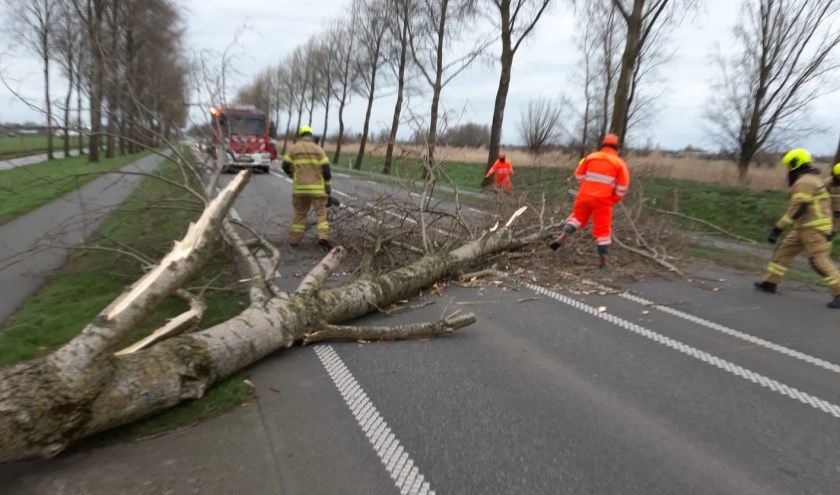 • Omgewaaide boom op de N216 bij Ottoland.