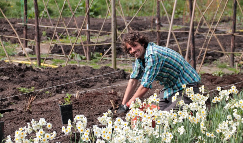 • Beke Romp aan het werk in de tuin.