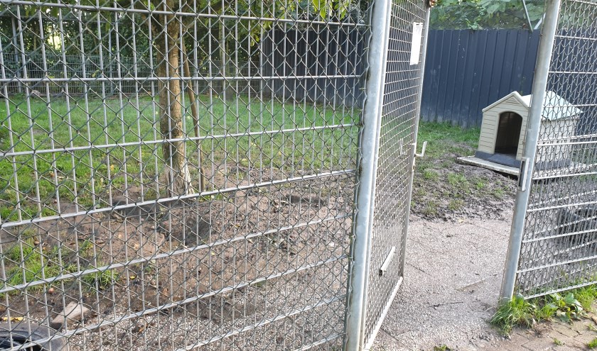 • Tijdens NLdoet worden de buitenverblijven van het asiel aangepakt.