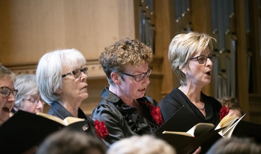 • Jubileumconcert Musica Pro Deo.