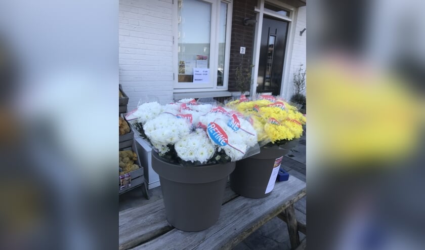 De bloemen en verkooppunt
