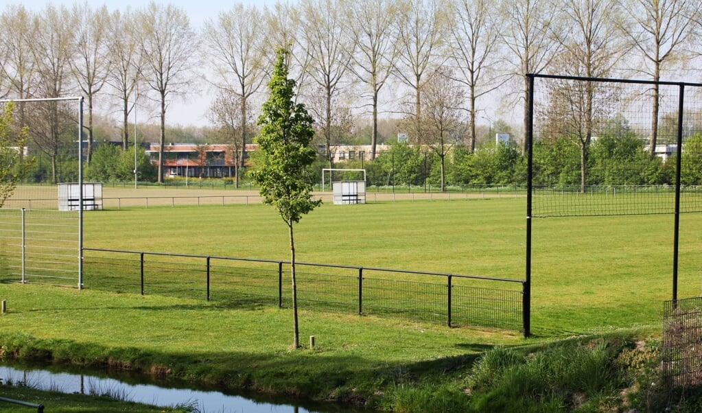 • Het eerste voetbalveld van vv Alblasserdam, waar straks campers gaan parkeren.
