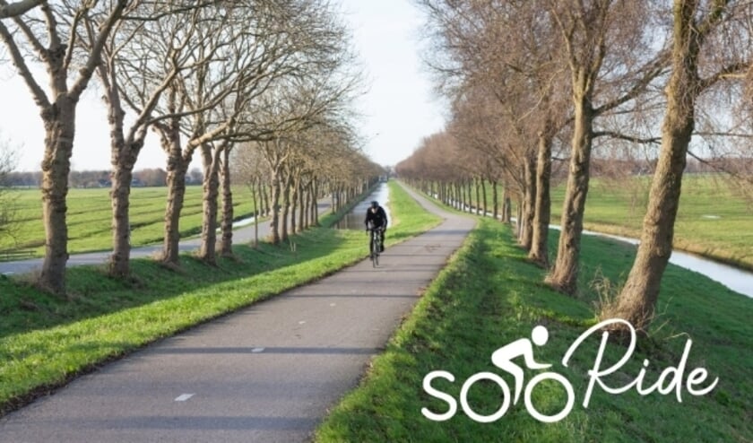 Fietser klimt dijk van de polder Purmer ten noorden van Amsterdam in Nederland op fietspad tussen boomlijnen.