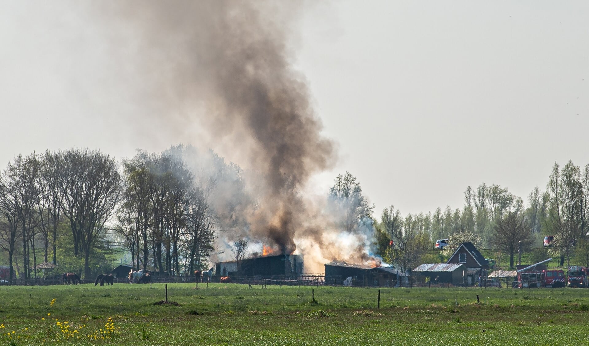 Woensdagochtend rond 10.40 uur brak een forse schuurbrand uit aan de Lekdijk-West in Bergambacht. Brandweerkorpsen uit de regio rukten uit met groot materieel. De rookontwikkeling was tot in de wijde omtrek te zien.