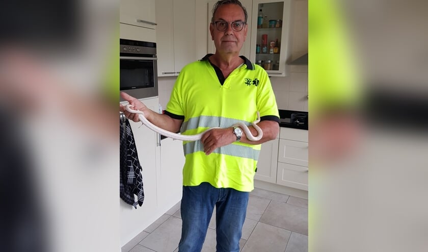• Peter Bakker met de rattenslang.