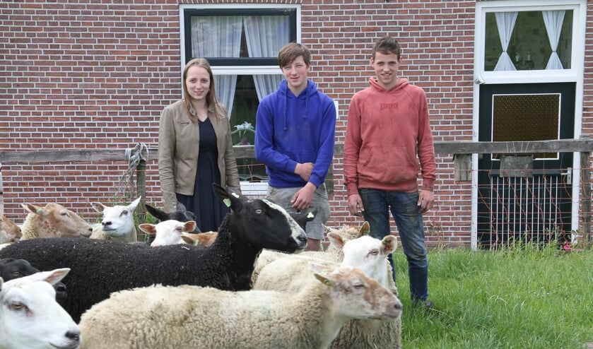 • Henrieke met twee van haar compagnons/broers.