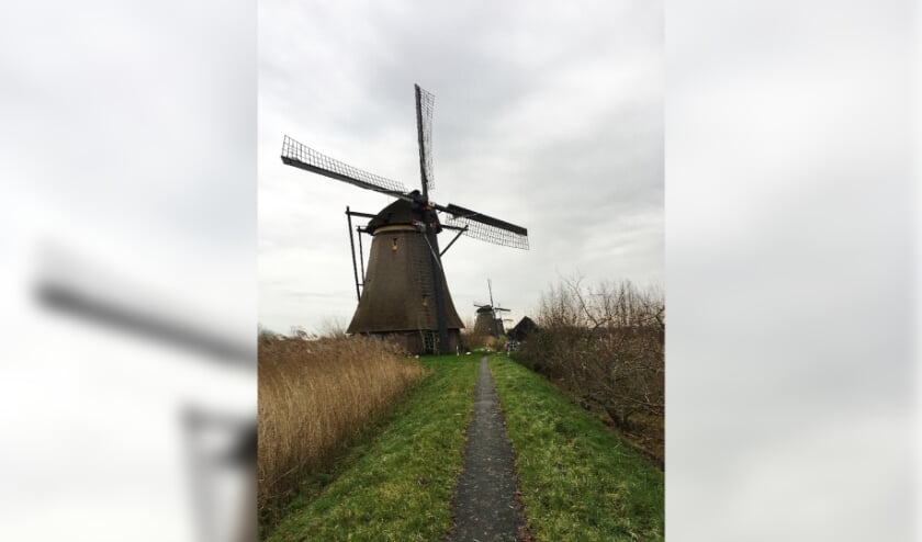 <p>• Het vervoer van toeristen naar Kinderdijk blijft een heikel punt in de regio.</p>