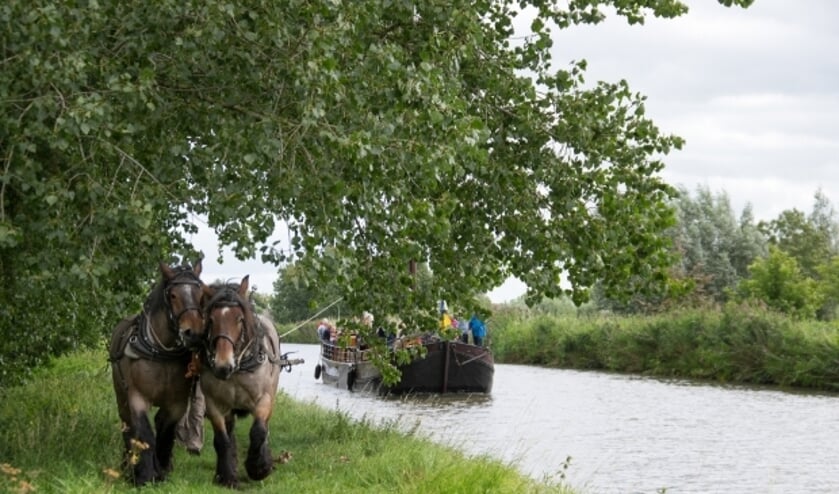De originele ijsselaak 'Den Onthaestingh'. van Reederij de IJsel wordt voortgetrokken door twee stoere Belgische trekpaarden,een authentieke  oer-Hollandse belevenis . (Foto: Alain Ulmer)  