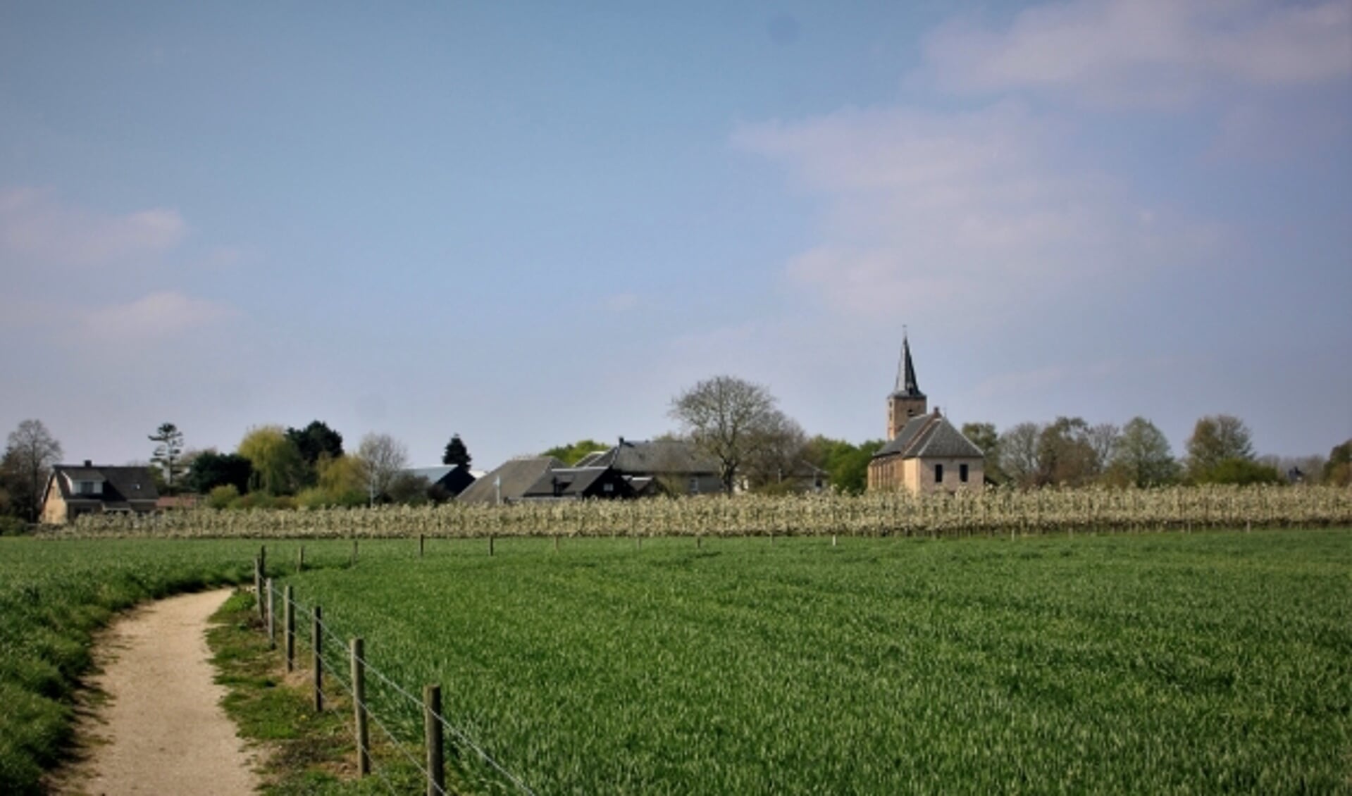 Zicht op de St.Joris, de hervormde kerk van Erichem, vanaf het dertien kilometer lange Klompenpad. 
