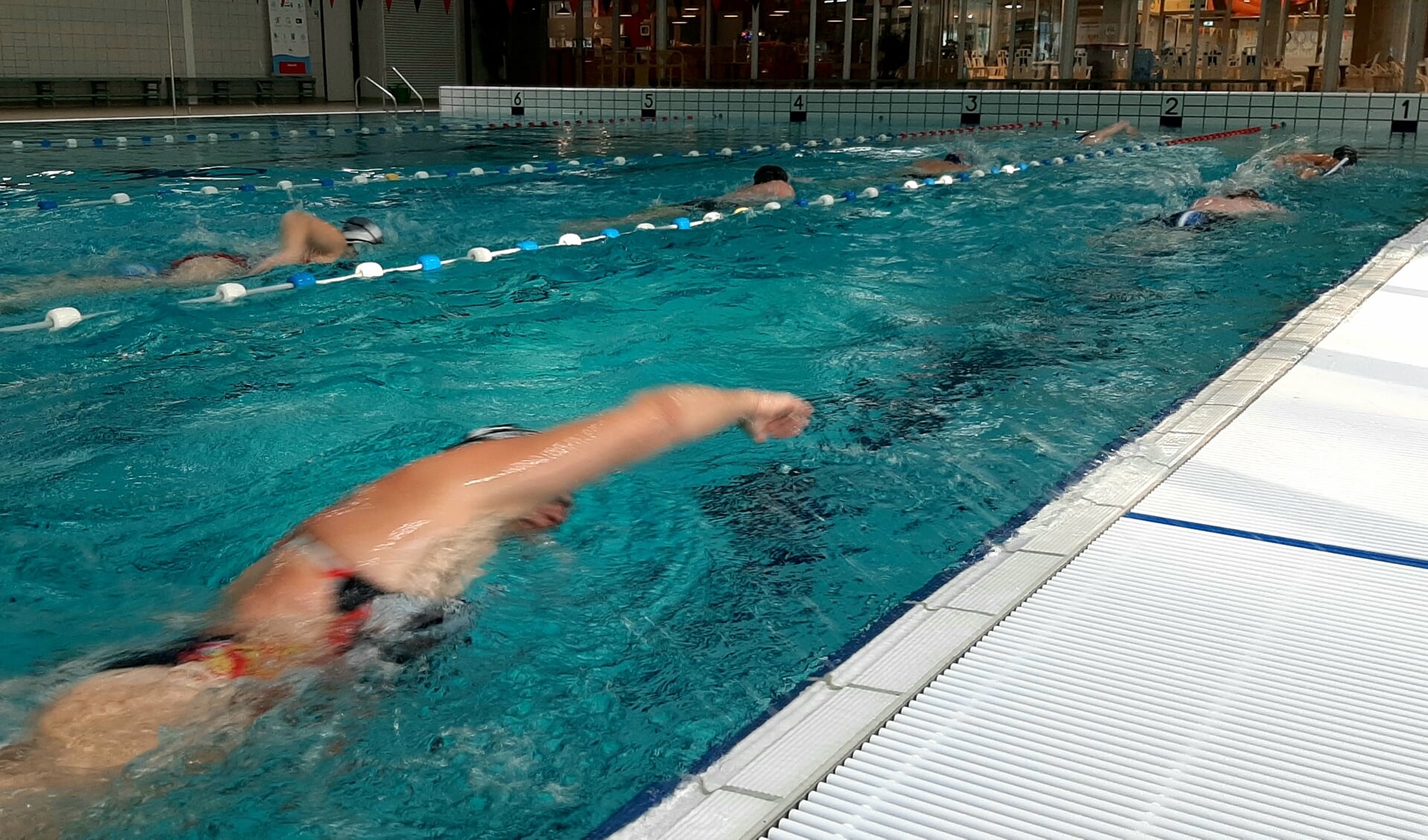 • Enkele wedstrijdzwemmers van de Lansingh in het bad.  