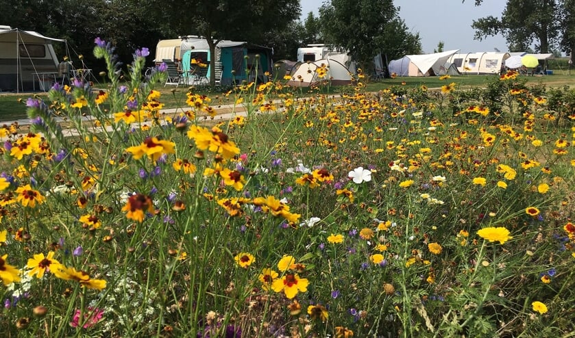 • Ook op camping Slingeland in Giessenburg is het drukker dan andere jaren.