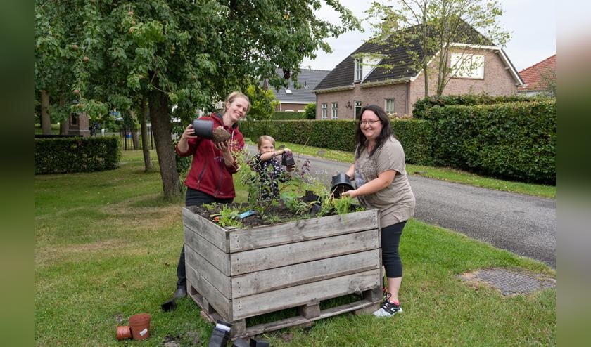 Jong en oud helpt mee met het bloemrijker maken van Enspijk