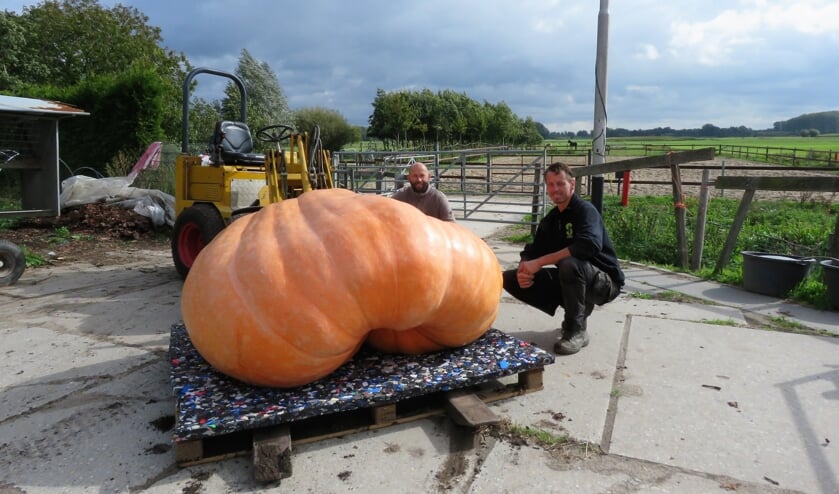• De pompoen van 670,5 kilogram.
