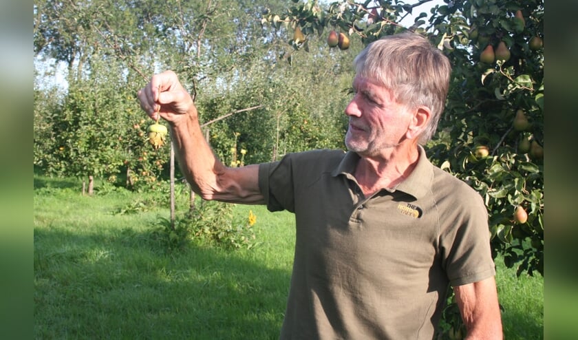 • Bart Pijnenburg geniet van een mooie krenkelaar.
