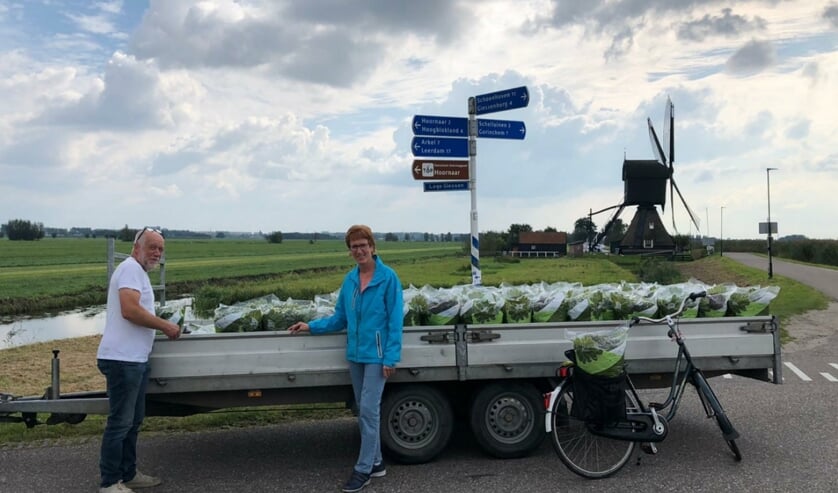 Bestuursleden bezorgen bolchrysanten