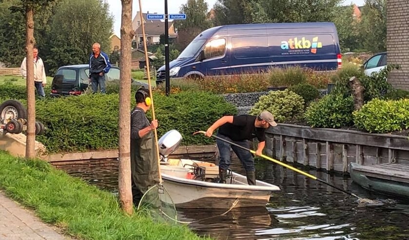 • Een specialist probeert de pijlstraatrog te vangen.