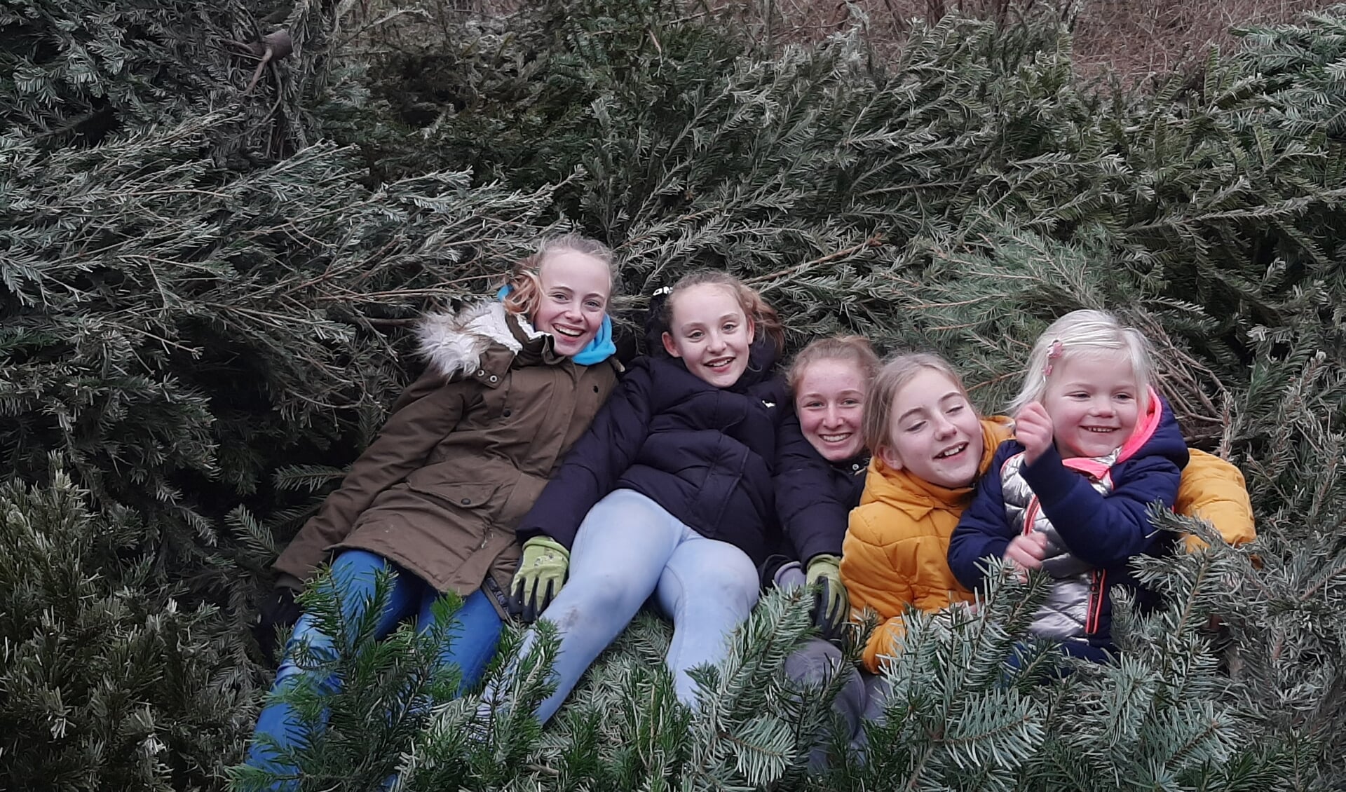 • De vier vriendinnen en een zusje bij een stapel kerstbomen.