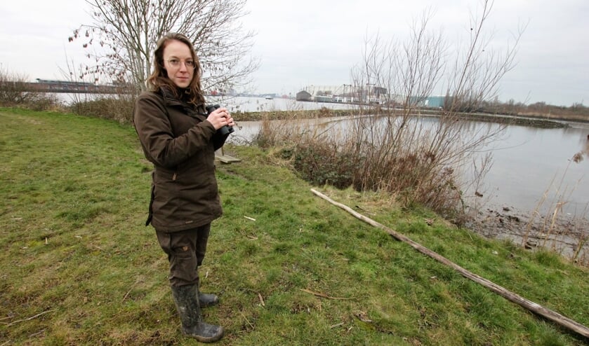 <p>• Regiobeheerder Veenweiden Stacey Dutry van Haeften op natuureiland De Zaag. </p>