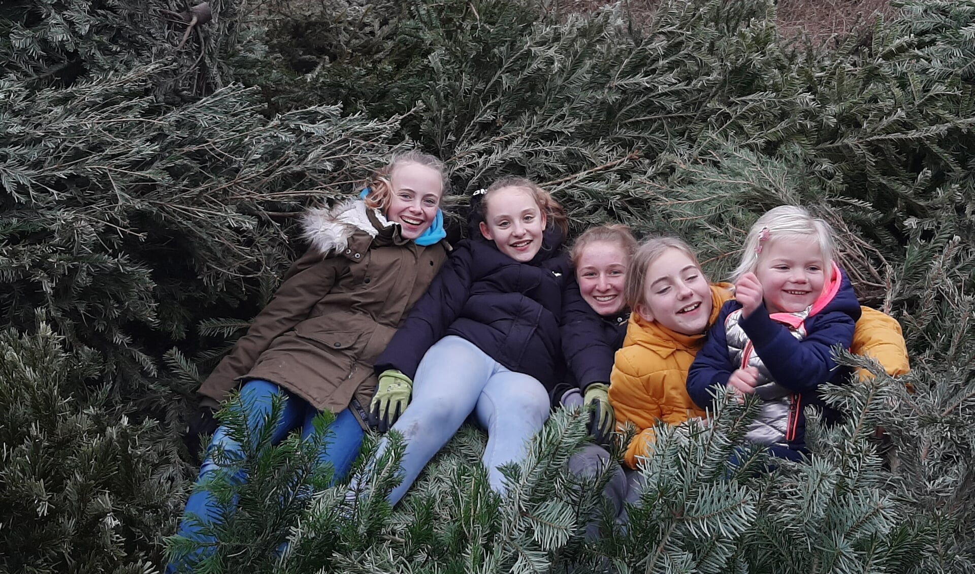• Kinderen haalden in voorgaande jaren veel kerstbomen op voor een extra zakcentje.