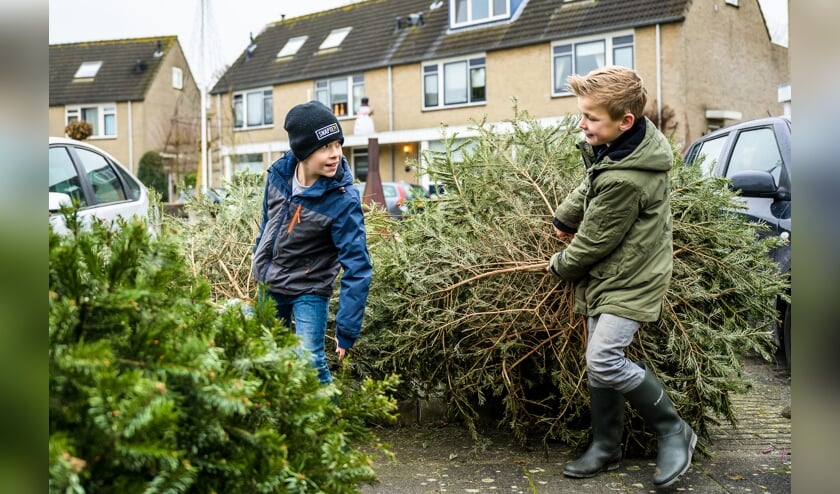 <p>De vrienden Tim van Buuren en Mats van Iterson zamelen samen kerstbomen in. De opbrengst doneren de 10-jarige Leerdammers aan KWF kankerbestrijding.</p>