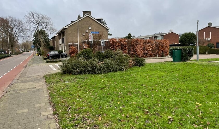 <p>• Bergen afgedankte kerstbomen in de straten in Krimpen aan den IJssel. </p>