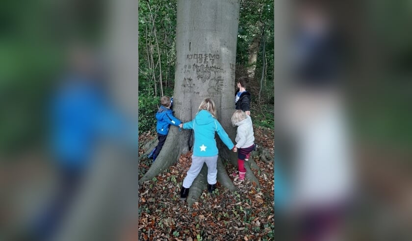 <p>Een leuke herfstactiviteit voor kinderen in het Zoelense bos.</p>