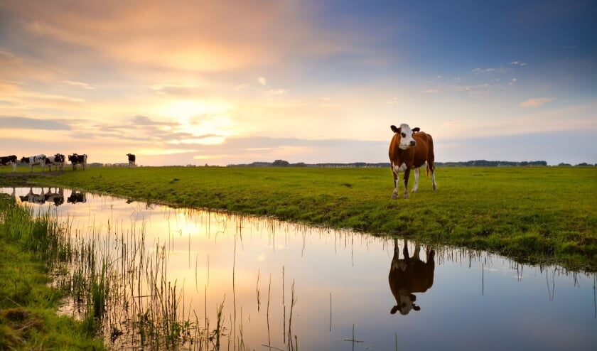 <p>Schone, diepe sloten zijn nodig voor een goede doorstroom van het water en een goede waterkwaliteit. </p>