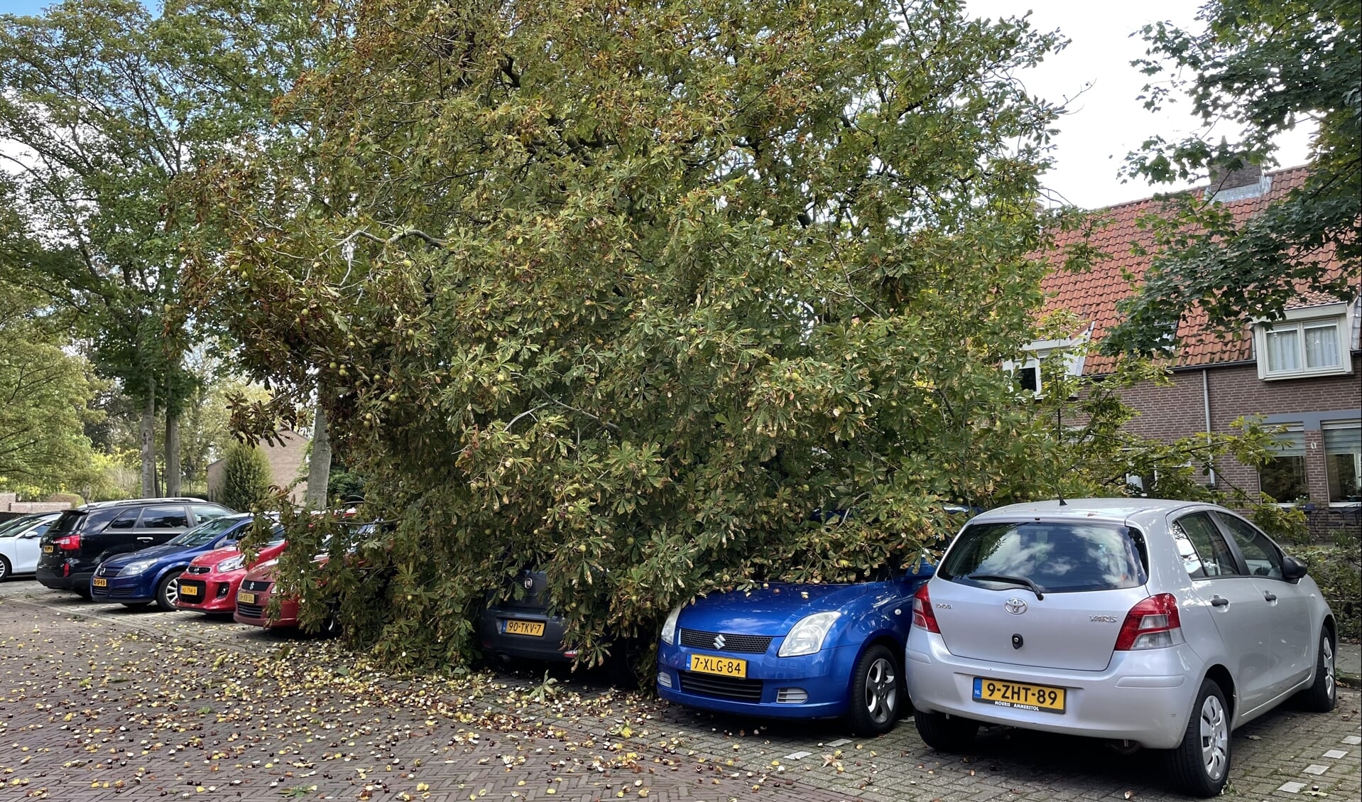 • De boom viel op de geparkeerde auto's.