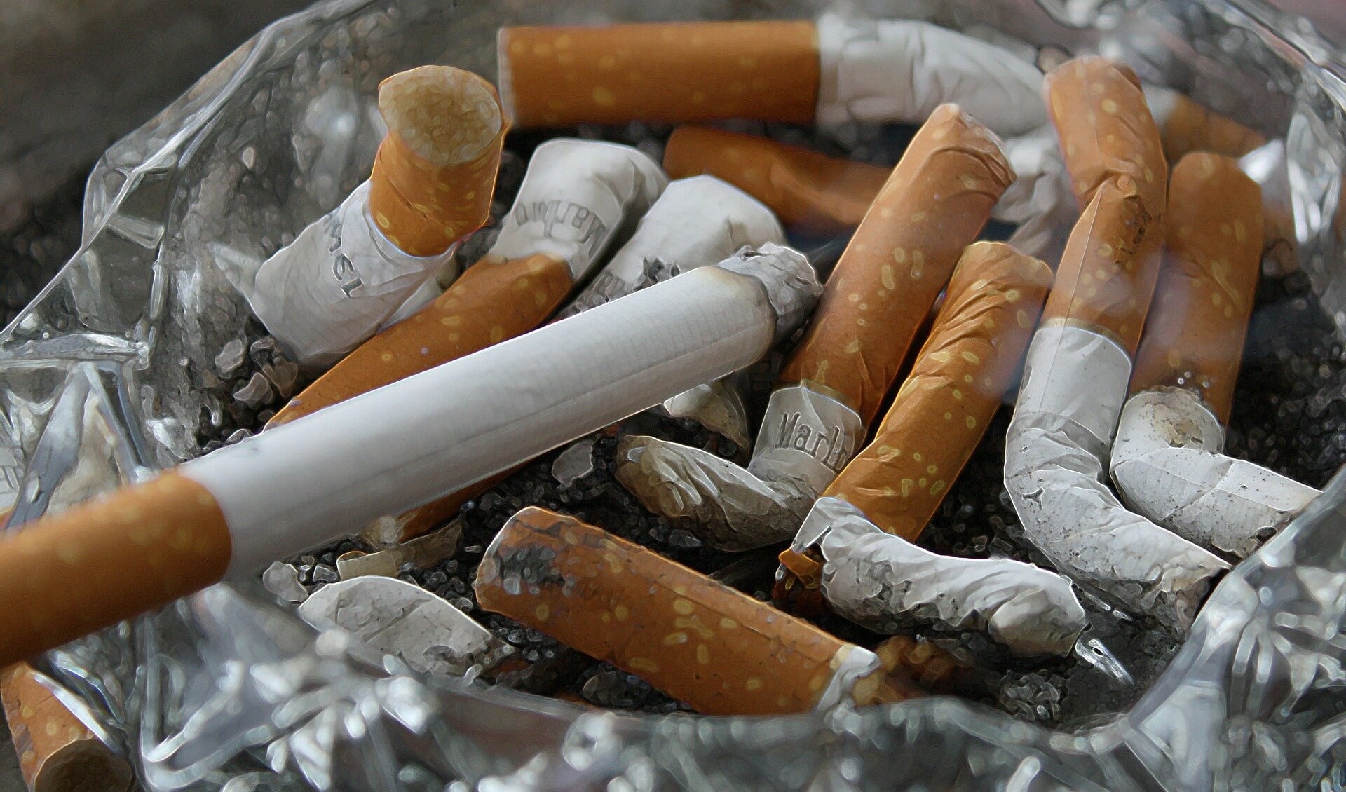 23,1 procent van de Tielenaren rookt namelijk wel eens een sigaret. 
