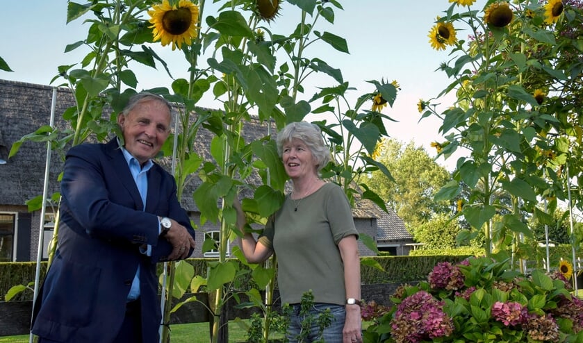 <p>José van Zoest van de Korte Linschoten Oostzijde kweekte de hoogste zonnebloem met pitten van D66. Paul de Jonge kwam haar feliciteren.</p>
