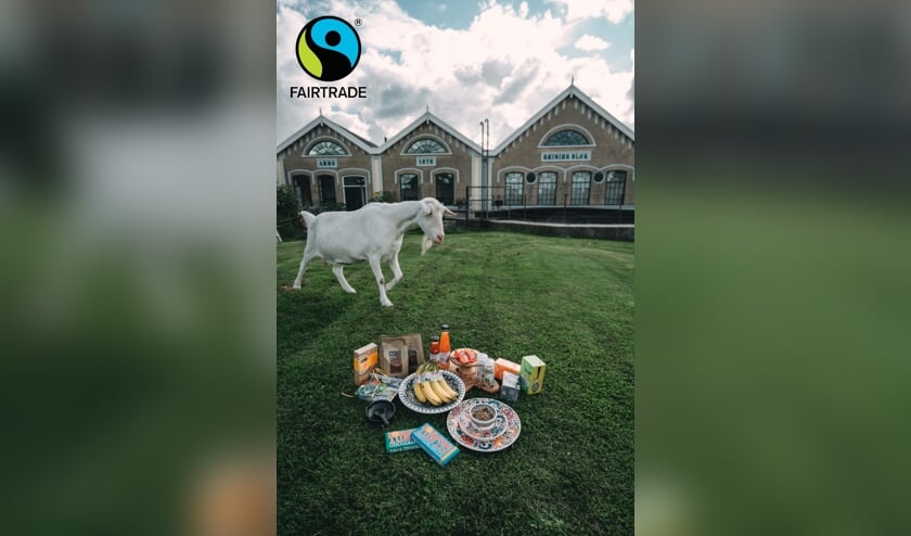 <p>Krimpen aan den IJssel op weg naar 'Fairtrade Gemeente'.</p>