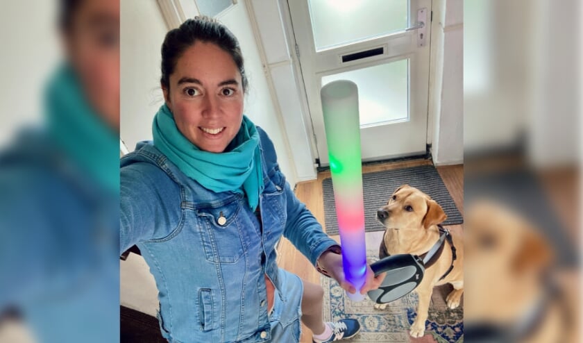 • De lichtgevende stick.