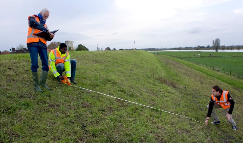 <p>Waterschap Rivierenland werkt op de dijk met aandacht voor de natuur. </p>