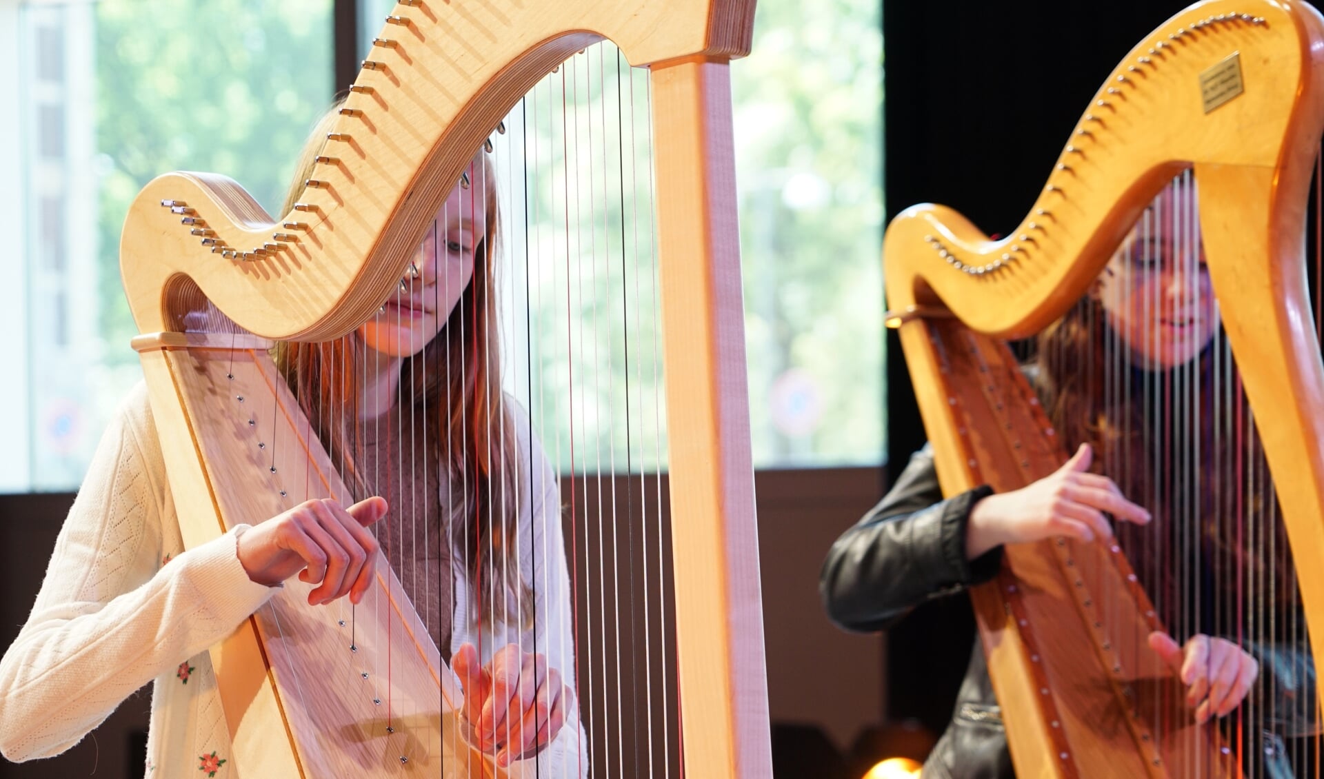 Het optreden van twee harp spelende en zingende meiden is Ingrid Zaaijer het meest bijgebleven.