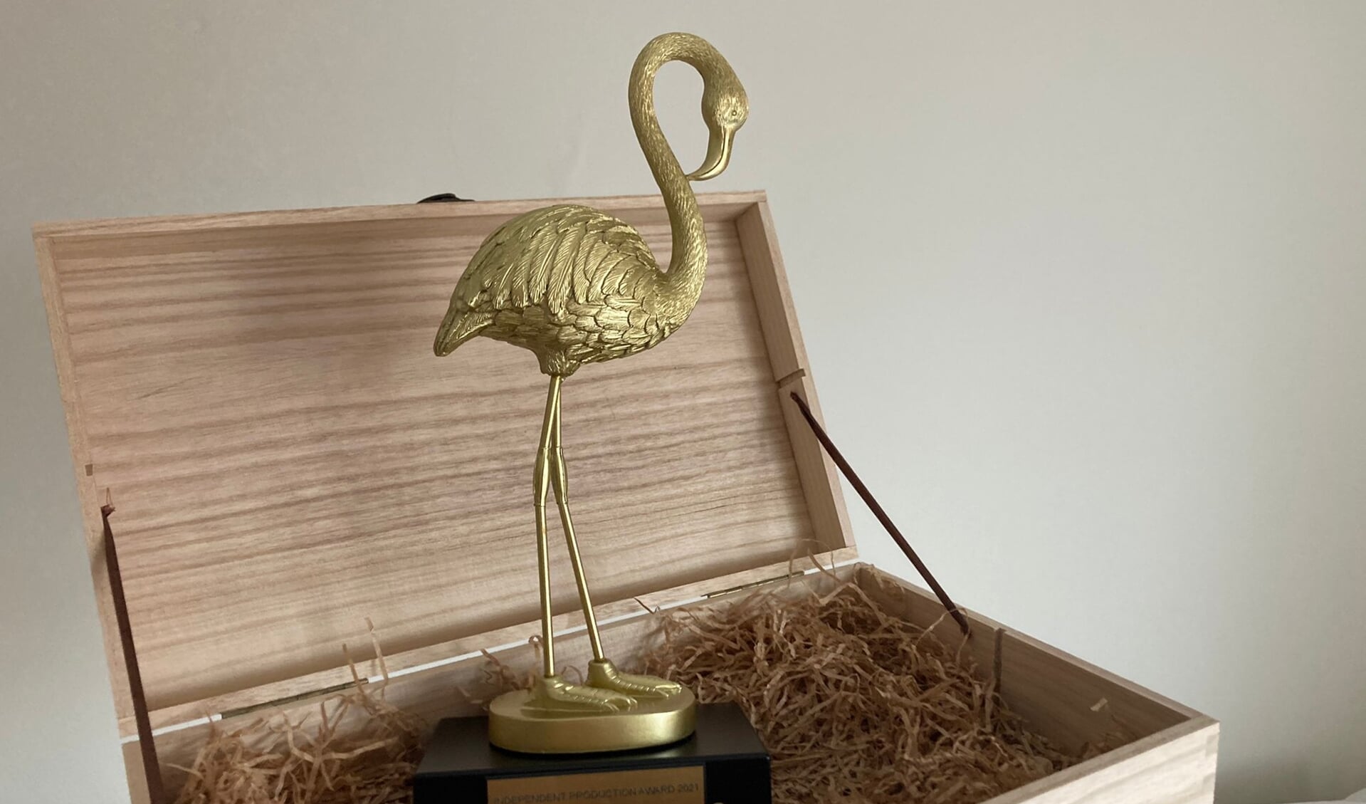 • De Flamingo Award.