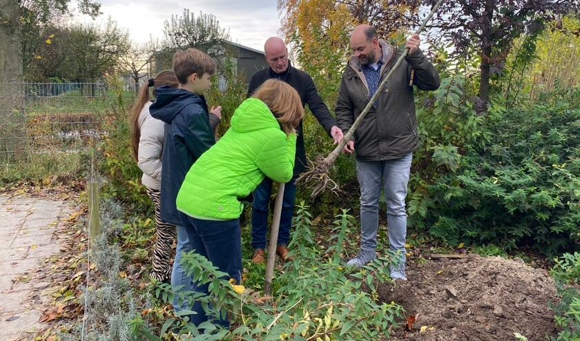 <p>Het fruitboompje voor basisschool De Klepper in Zoelmond gaat de grond in.</p>