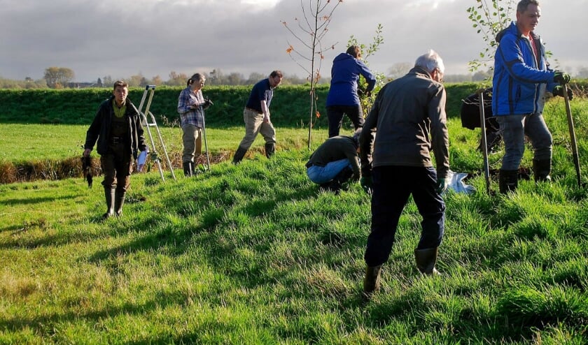 <p>Vrijwilligers waren druk in de weer om de nieuwe aanplant een plekje in het ecopark te geven. </p>