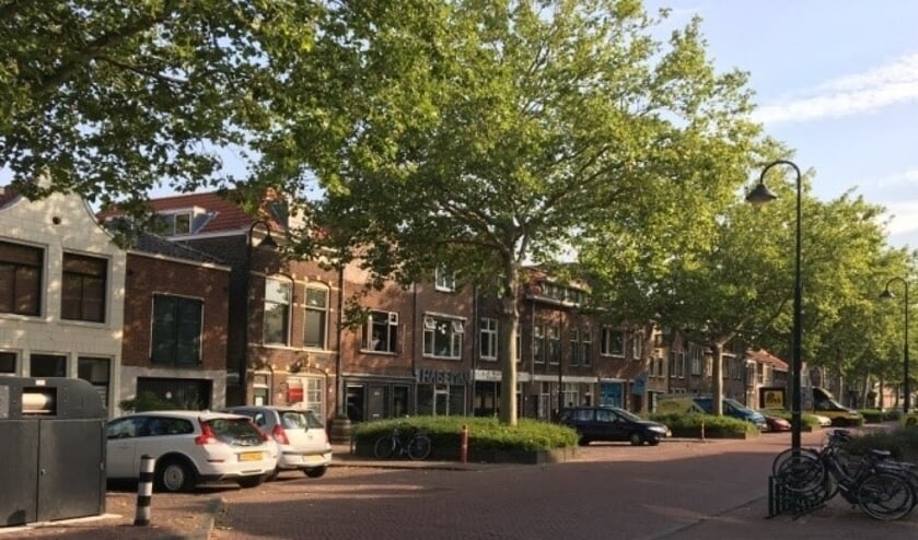 <p>De prachtige platanen aan de Nieuwehaven</p>