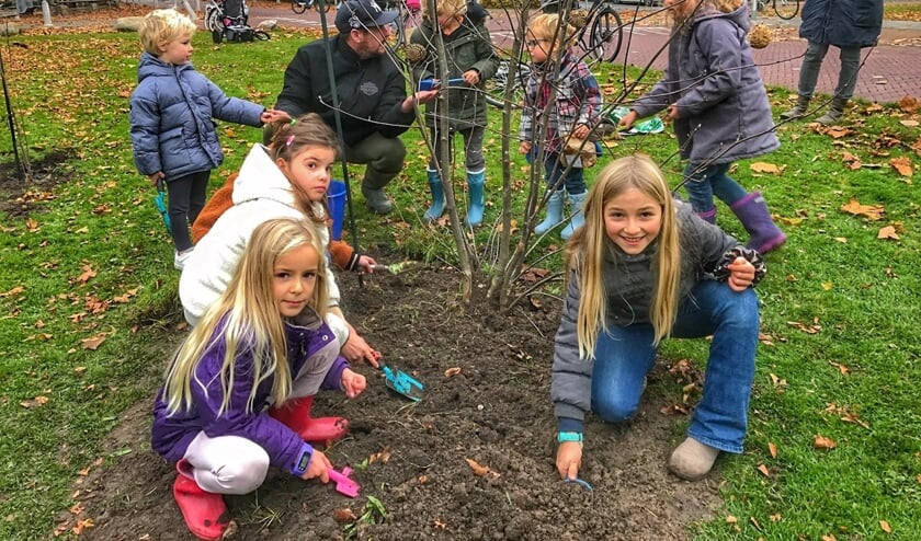 <p>• Het planten van de drie bomen gebeurde aan de Oostsingel, tegenover de Wilhelminaschool. Vanwege werkzaamheden rondom het Exercitieveld moest de organisatie uitwijken naar een andere locatie. </p>